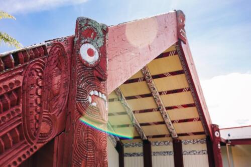 Ngāti Hineuru Takiwā. Source Erica Sinclair. All rights reserved.